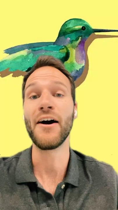 FOCUS sur le mouvement COLIBRIS au BRESIL 