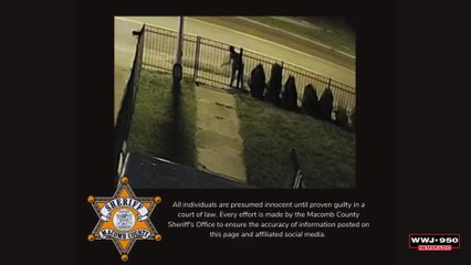 Suspect wanted for vandalism and breaking into care in Mt. Clemens