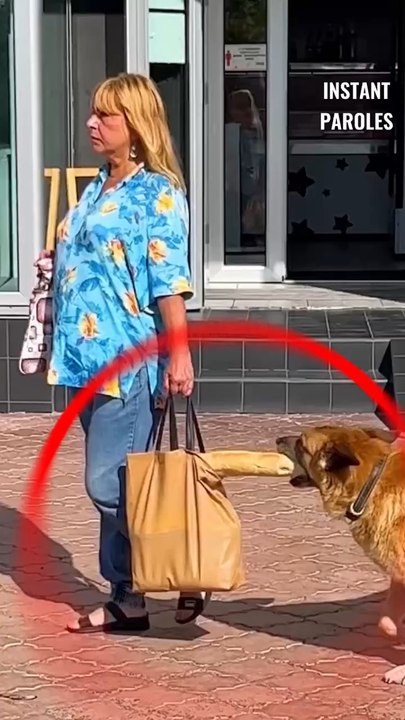 Ce chien surprend une inconnue en pleine rue mais réalise un geste précieux juste derrière