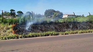 Cascavel registra aumento no número de incêndios ambientais os quais estão sendo iniciados por 'desocupados'