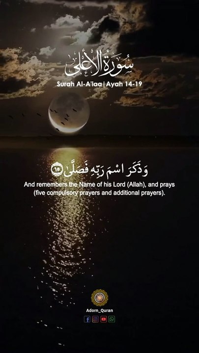 قد افلاح