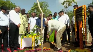 AHMEDABAD WORLD ENVIRONMENT DAY 2024 MISSION THREE MILLION TREES CAMPAIGN BY GUJARAT CM BHUPENDRA PATEL
