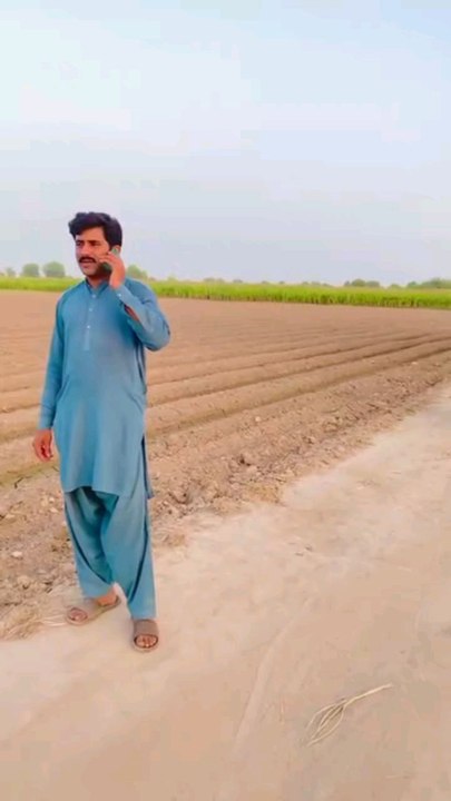 Chor Pakry Gay 