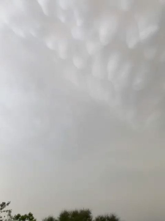weather