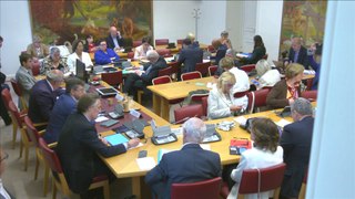 Financiarisation de la santé : audition au Sénat de Pascal Roché, directeur général de Ramsay Santé