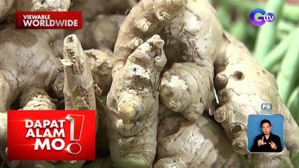 DA, paano tinutugunan ang kakulangan sa suplay ng luya (June 5, 2024) | Dapat Alam Mo!