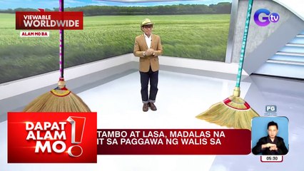 Damong tambo at lasa, ginagamit sa paggawa ng walis | Dapat Alam Mo!