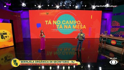 Como é uma plantação de berinjela? Confira no "Tá no Campo, Tá na Mesa"