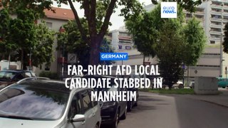 Far-right AfD local candidate stabbed in another Mannheim attack