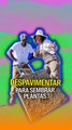 Despavimentar para sembrar plantas