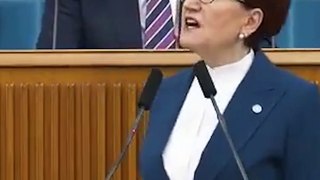 Akşener’in ‘Erdoğan’ arşivinde, yok yok: “Netenyahu, Kim Jong-Un, mafya kuklası…”