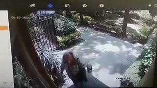 Señora robó la perrita de sus vecinos