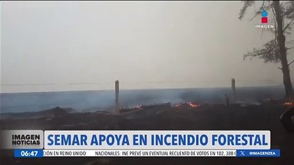 Activan el Plan Marina para combatir incendio forestal en Veracruz