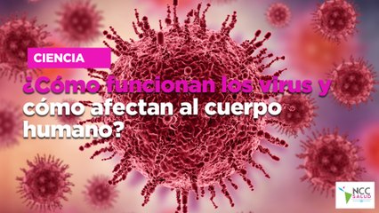 ¿Cómo funcionan los virus y cómo afectan al cuerpo humano?