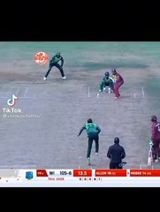 Chris Gayle best catch❗️❗️Windies