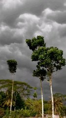 Nice View ❣️❣️