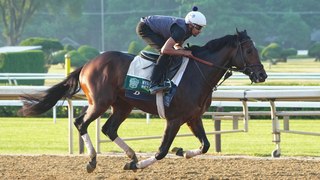 Sierra Leone: Morning Line Favorite for Saratoga Race