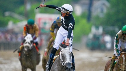 Seize the Grey Set to Dominate Upcoming Race Again