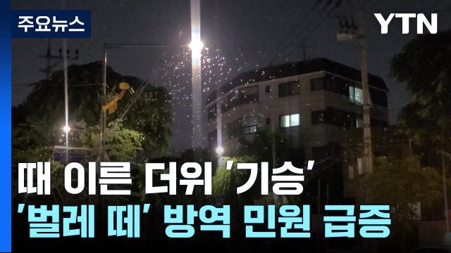 이상기후 탓?...때 이른 더위에 '벌레 떼' 급증 / YTN