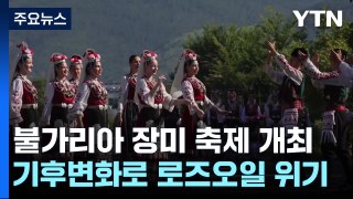 불가리아 장미 축제 개최...기후변화로 로즈오일 '위기' / YTN