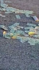 Un camión blindado perdió varias bolsas de dólares en plena vía