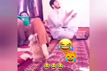 Arabic MEMES PART 123 they Love TOYOTA only