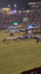 beautiful horses race show. #shorts #rider#running