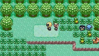 Pokemon Quetzal Multiplayer online multiplayer - gba