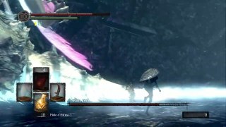 Dark Souls: Prepare to Die Edition online multiplayer - ps3