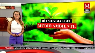 Este 5 de junio se celebra el Día Mundial del medio ambiente