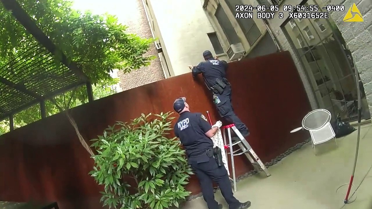 Snake Rescue UWS