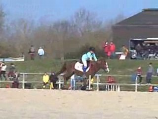 Oreilles grillées niort cartons