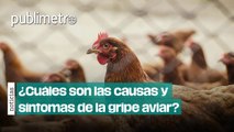 ¿Cómo se contagia y cuáles son los síntomas de la gripe aviar A(H5N2)?