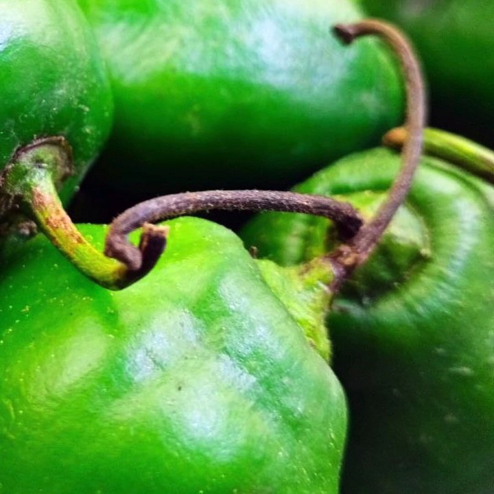 -ANDRÉS DE JESÚS VÉLEZ FRANCO- PRÓXIMOS EVENTOS DE CICLISMO: EL TOUR DE FRANCIA (PARTE 2) (@AndresdeJesus90)