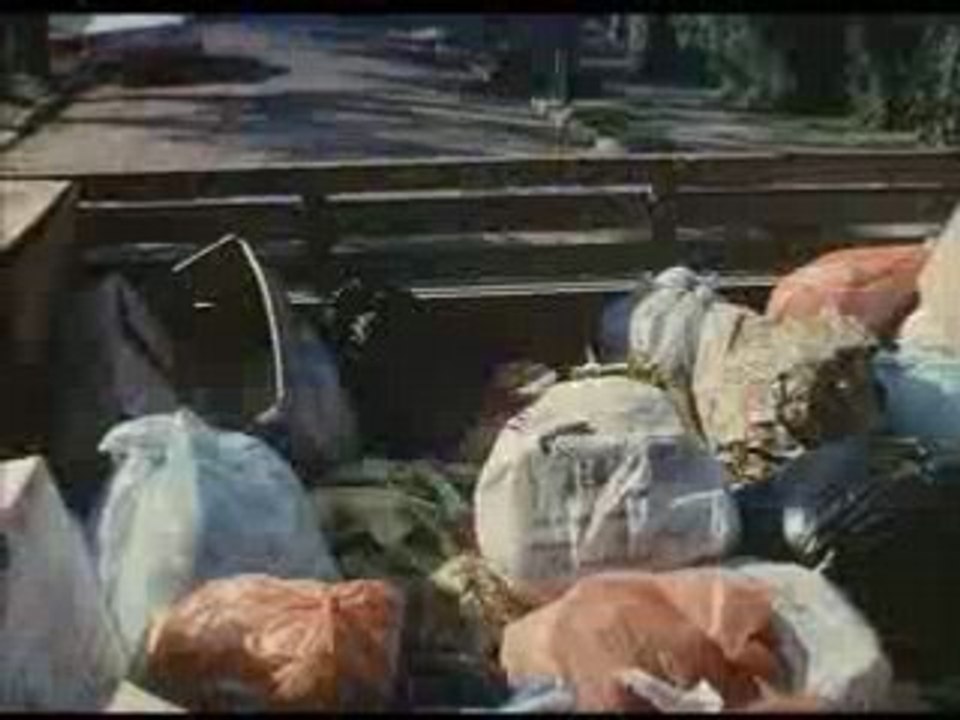 Court-métrage L'île aux Fleurs