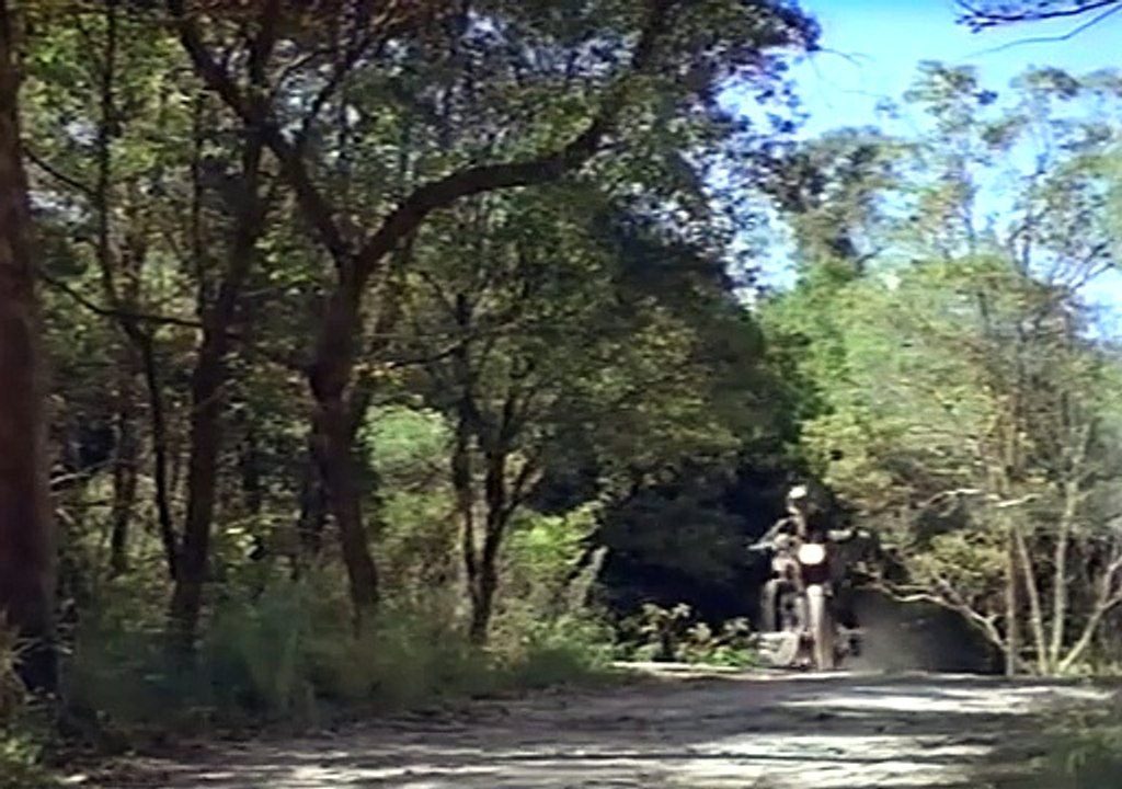 Chameleon 1998