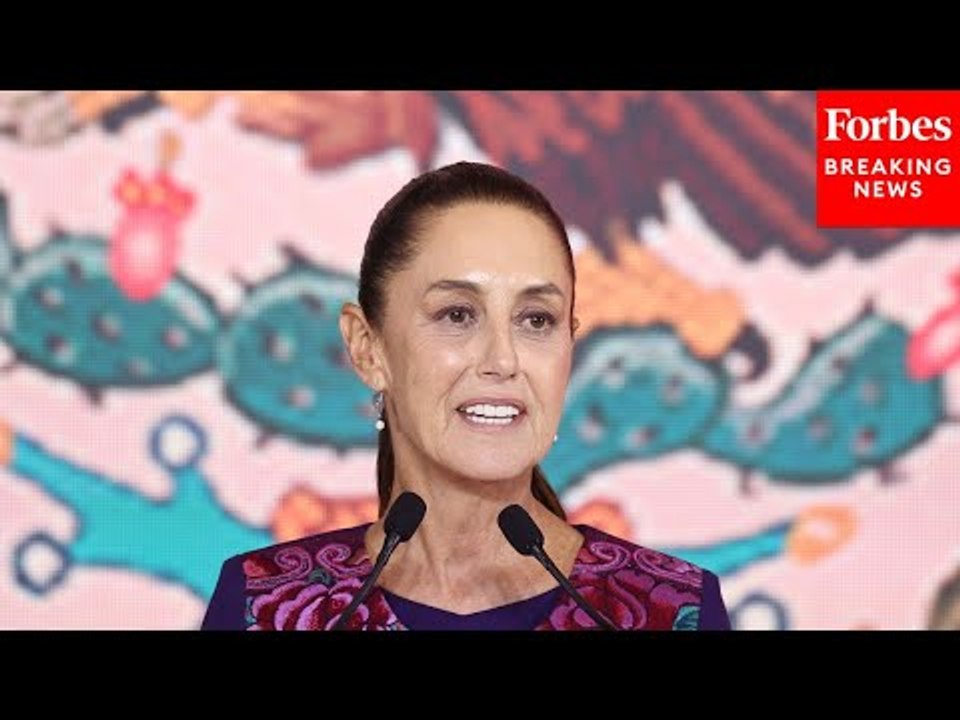Why Some People Are Concerned After Claudia Sheinbaum Won The Presidential Election In Mexico