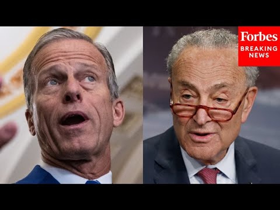 'Designed To Give Vulnerable Democrats A Political Cover': Thune Slams Schumer On Contraception Vote