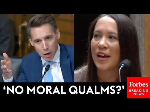 'So You're Not Concerned?': Josh Hawley Grills Judicial Nominee About Her Work For Boeing And 3M