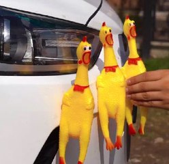 Clever hacks to make your car life easier!