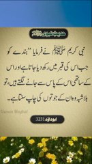 Urdu Islamic Quotes__Urdu Quotes__Shorts Video__Urdu Poetry__Viral#viral #shorts  #islamicstatus