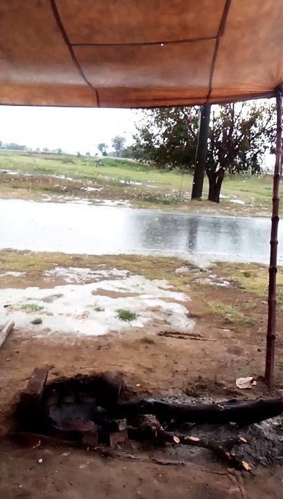 Panjab vlog