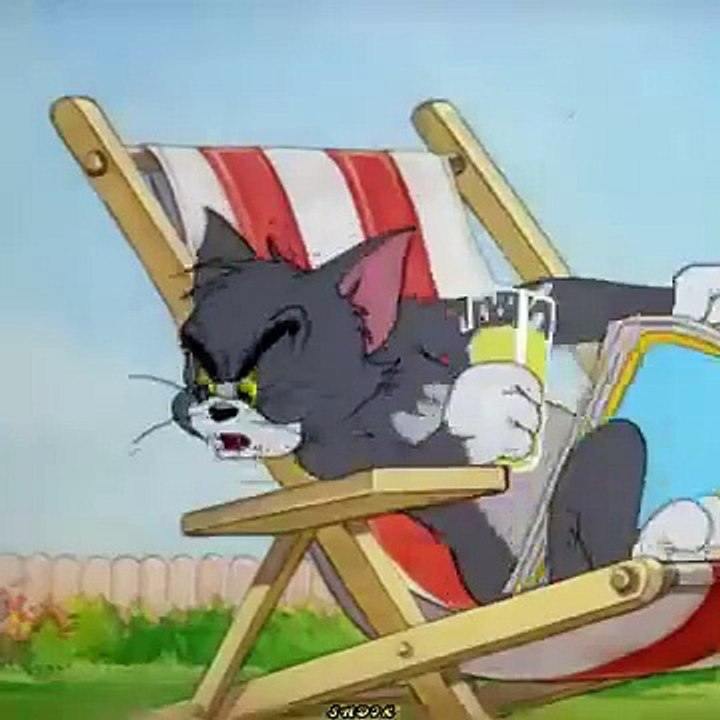 Tom an jerry