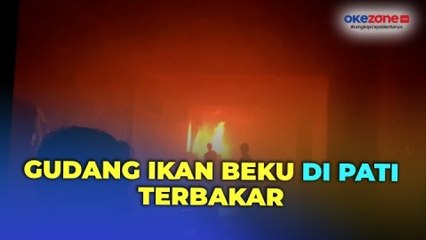 Gudang Ikan Beku di Pati Terbakar, Kerugian Ditaksir Ratusan Juta Rupiah