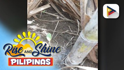 23,000 ektarya ng tubuhan sa Negros Island, apektado ng pagputok ng Mt. Kanlaon