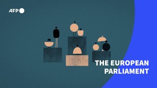 The European Parliament