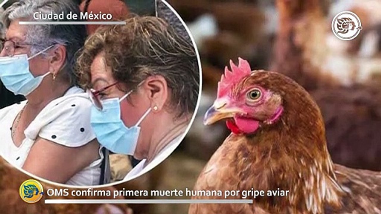 Resumen del 05 de Junio