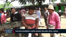 Salon Kambing Laris Manis Jelang Iduladha
