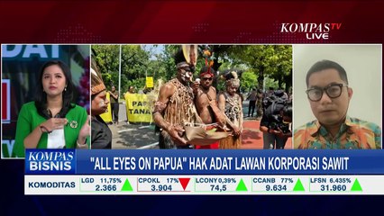 Masyarakat Adat Awyu dan Moi di Papua Lawan Korporasi Sawit, Bagaimana Duduk Perkaranya?