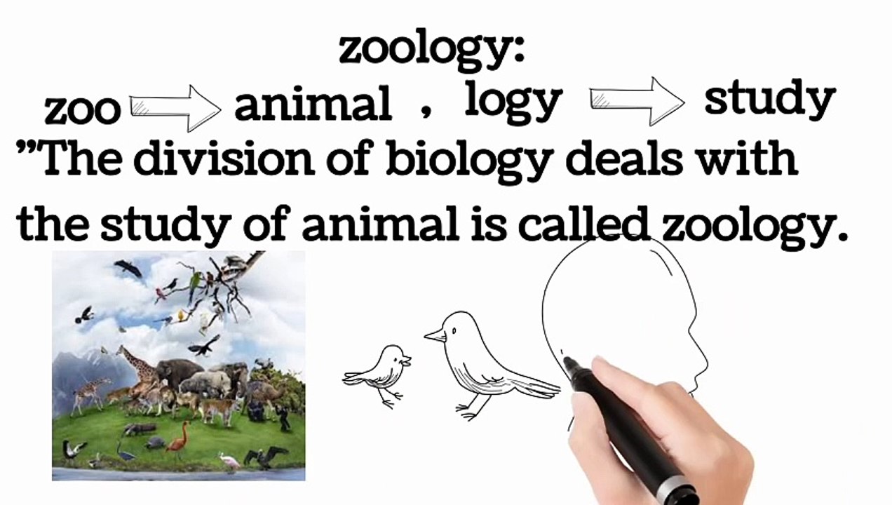Major division of biology| lec #3 | introduction to biology| chp # 1 | 9 class Biology